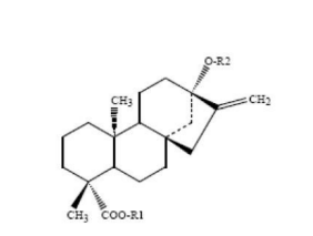 甜菊糖苷系列(圖3) image.png